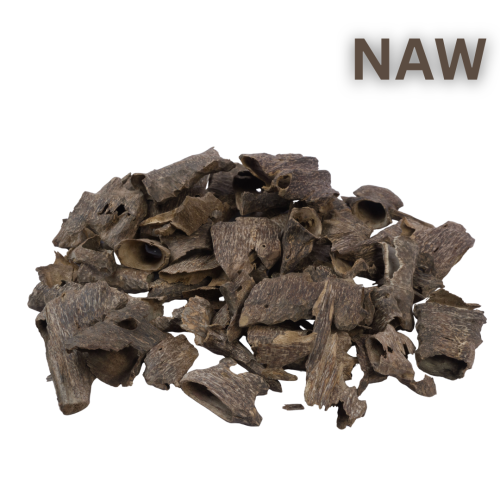 قواقع العود الفيتنامي دبل سوبر