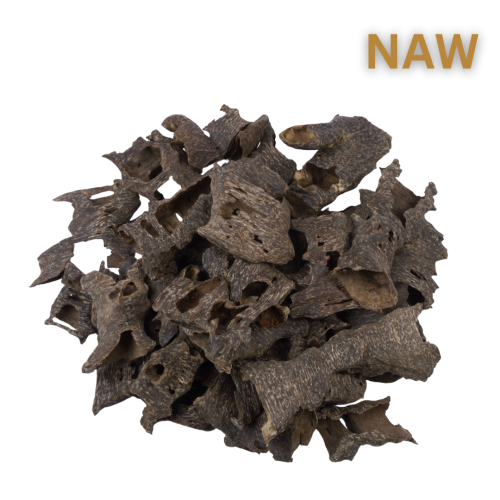 قواقع العود الفيتنامي رويال كينج